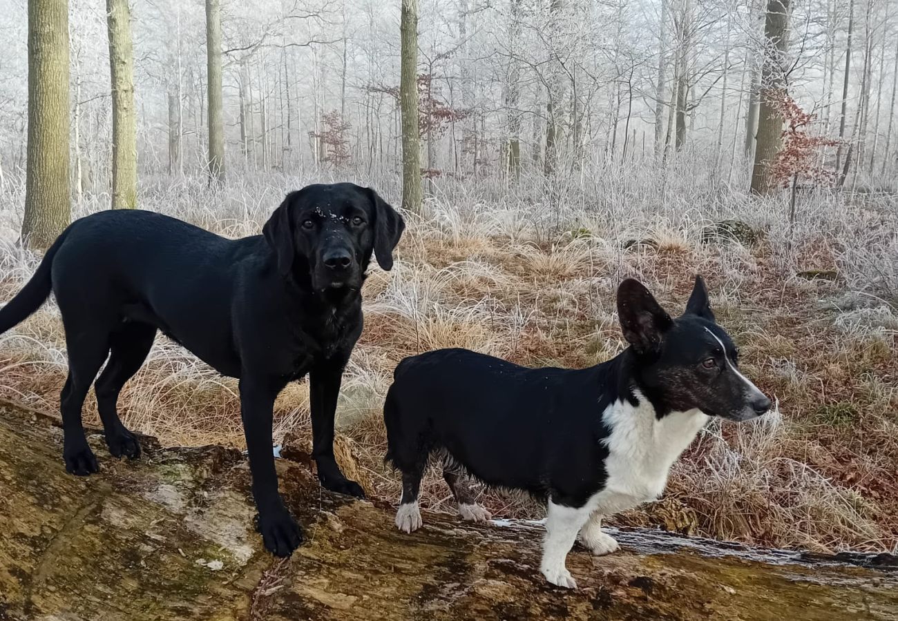 House in Kattarp - Large holiday accommodation in the countryside near Helsingborg