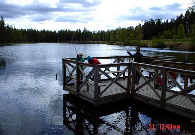 House in Vännäs - Modern cottage with fantastic lakeside location House in Vännäs - Modern cottage with fantastic lakeside location