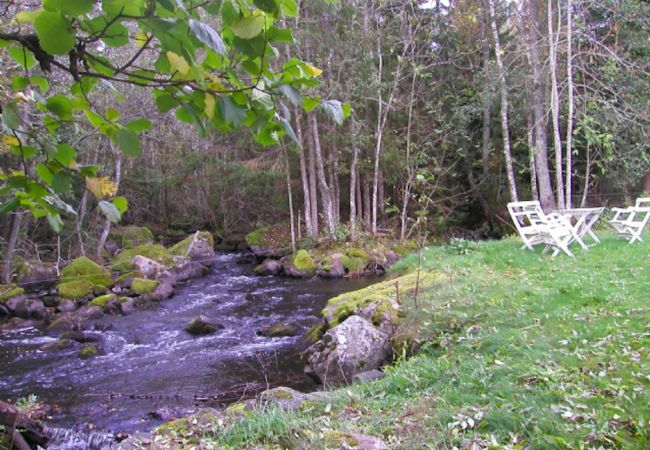 House in Åsarp - Holidays on the Ätran river in a quiet and undisturbed location