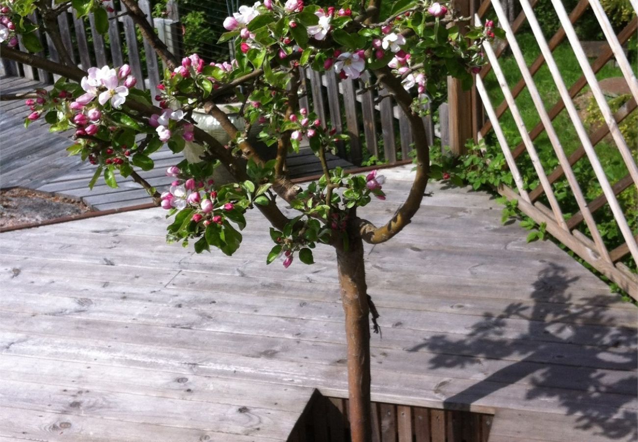 House in Vålarö - Fantastic seafront location with pool and Inga Lindstrom around the corner
