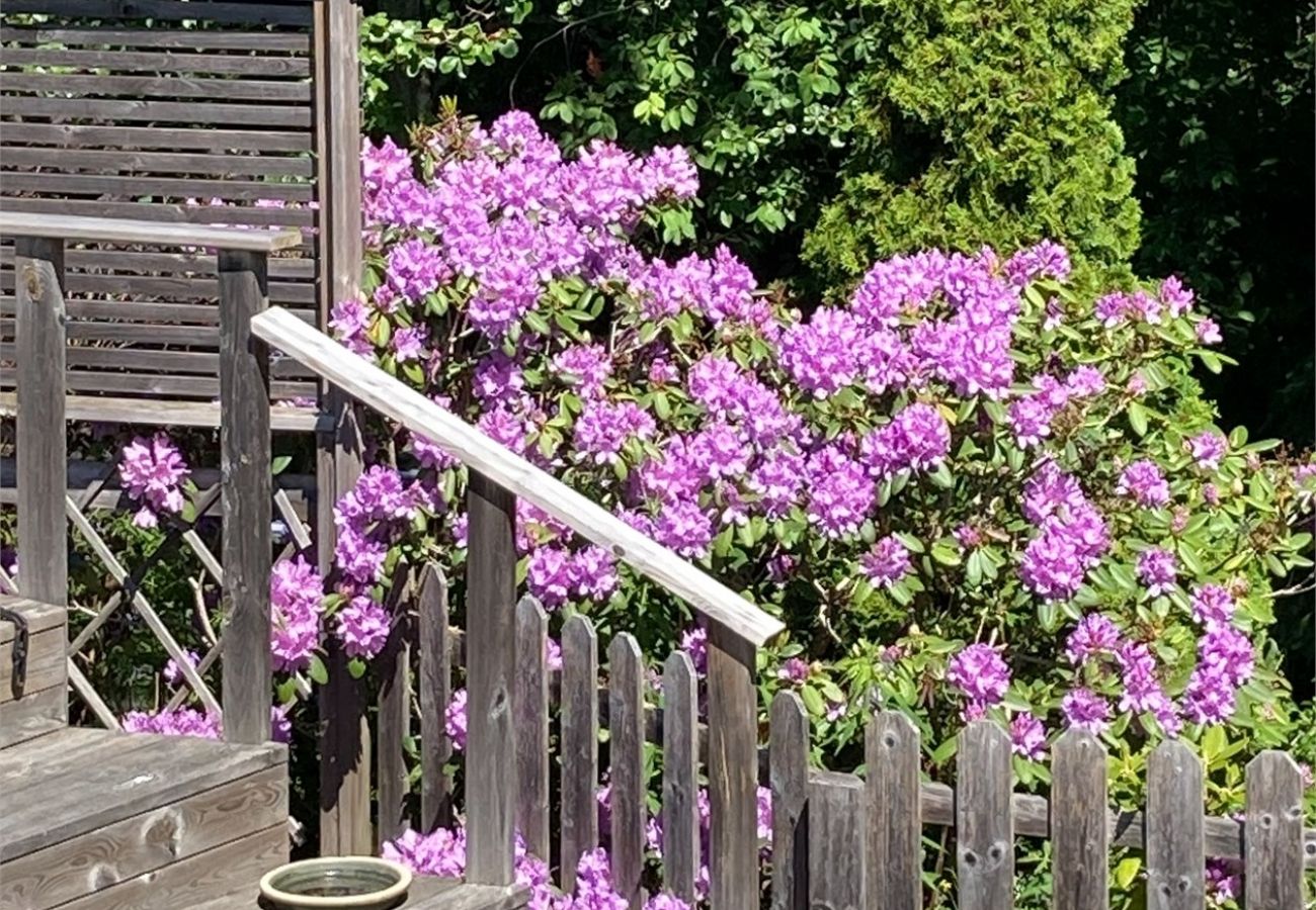 House in Vålarö - Fantastic seafront location with pool and Inga Lindstrom around the corner