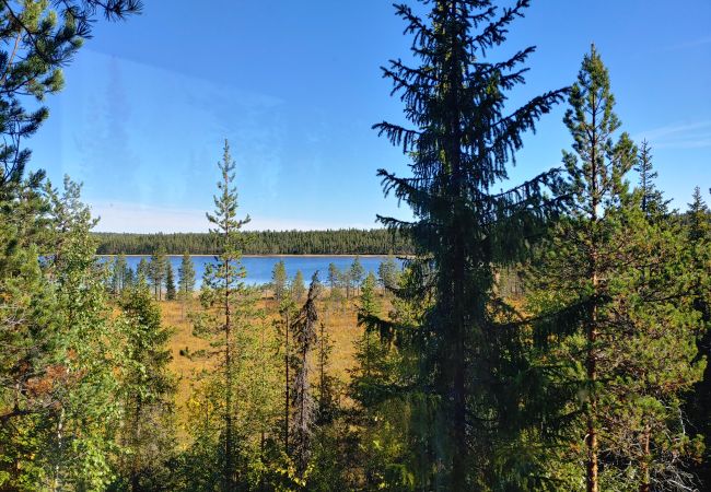 House in Arvidsjaur - High in the trees in northern Sweden with lake views and moose under the terrace