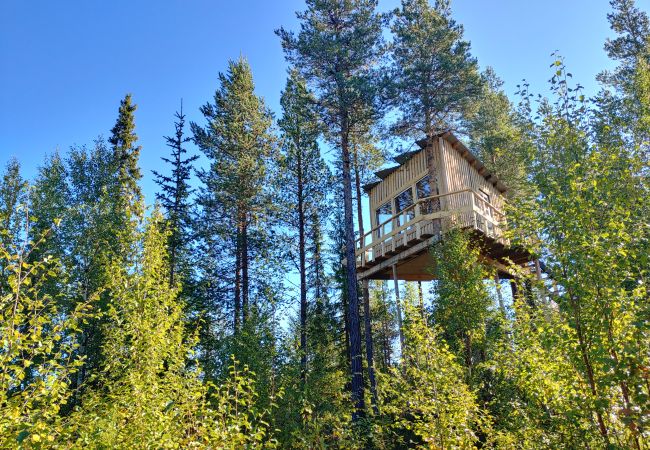 House in Arvidsjaur - High in the trees in northern Sweden with lake views and moose under the terrace