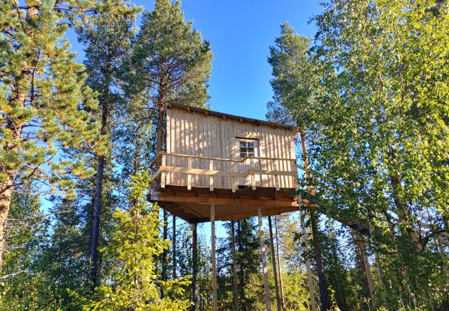 House in Arvidsjaur - High in the trees in northern Sweden with lake views and moose under the terrace