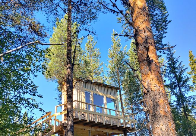 House in Arvidsjaur - High in the trees in northern Sweden with lake views and moose under the terrace