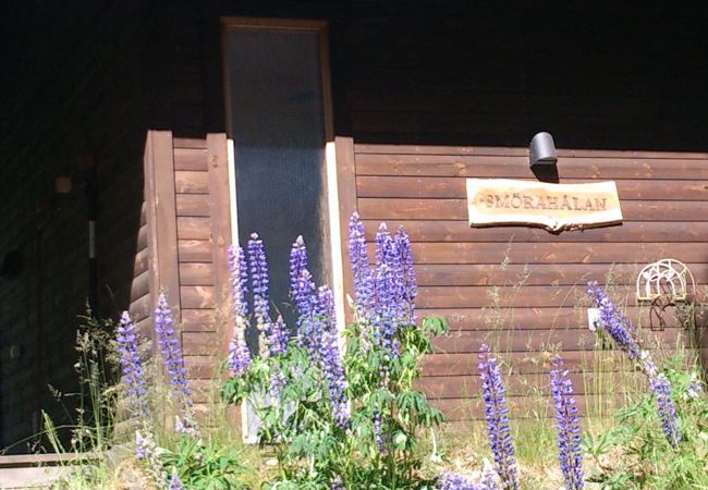 House in Diö - Holiday home in wonderful Småland by the lake House in Diö - Holiday home in wonderful Småland by the lake