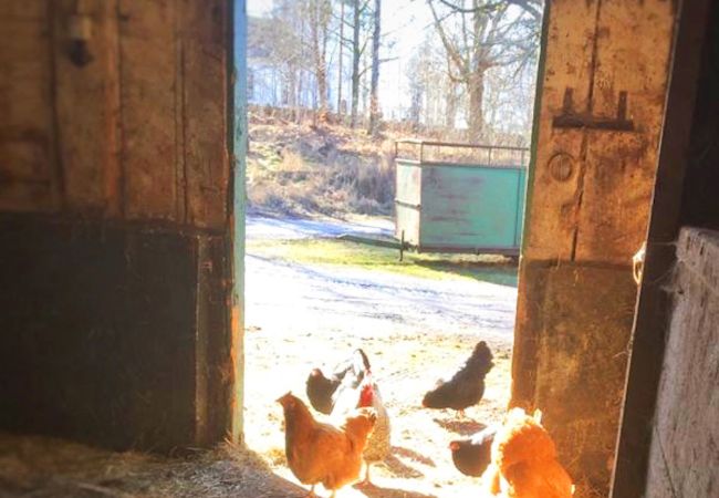 House in Annerstad - Lovingly furnished holiday home on the river and near the lake, perfect for fishing and relaxing House in Annerstad - Lovingly furnished holiday home on the river and near the lake, perfect for fishing and relaxing