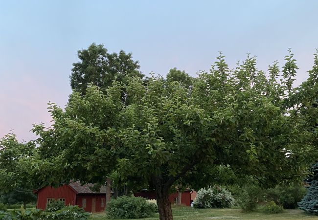 House in Tystberga - Holiday on a manor property in Sörmland on the coast and the archipelago House in Tystberga - Holiday on a manor property in Sörmland on the coast and the archipelago