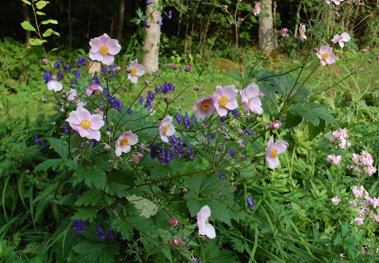 House in Tranås - Nice holiday home on lake property with boat and sauna