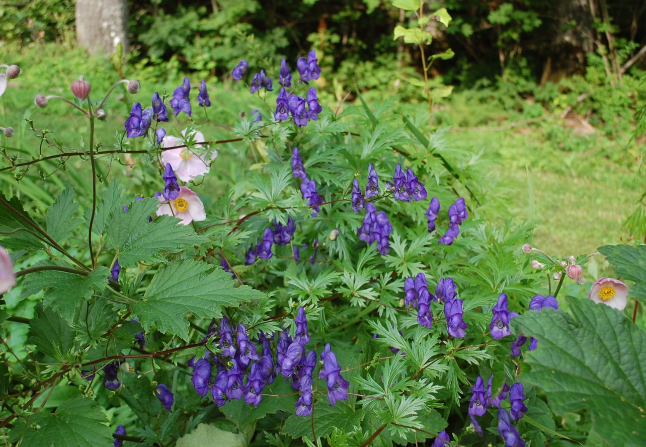 House in Tranås - Nice holiday home on lake property with boat and sauna