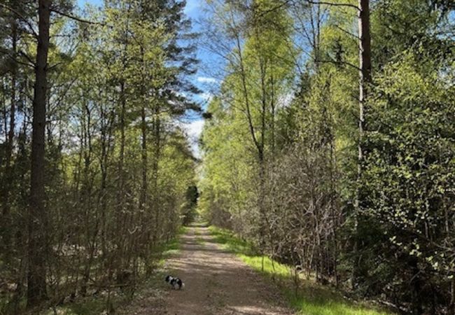 House in Annerstad - Cozy, renovated holiday home near the lakes Kösen and Bolmen in Småland House in Annerstad - Cozy, renovated holiday home near the lakes Kösen and Bolmen in Småland