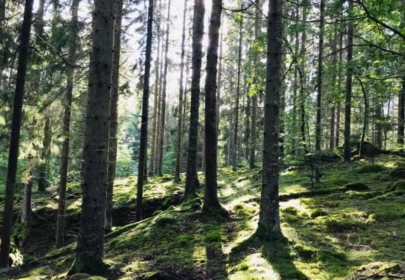 House in Tingsryd - Scenic cottage in the Småland forest with proximity to a lake