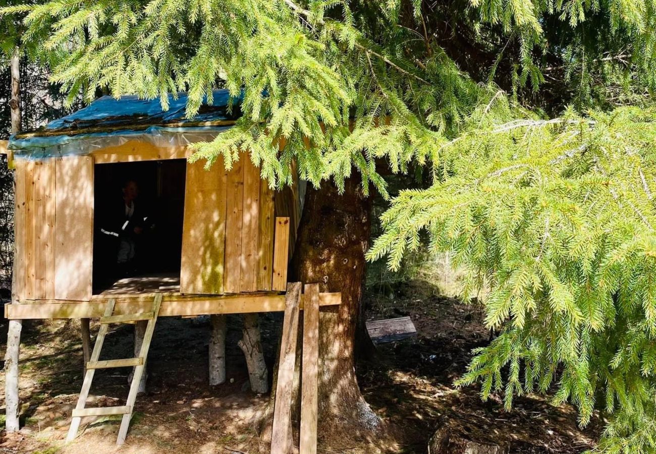 House in Tingsryd - Scenic cottage in the Småland forest with proximity to a lake
