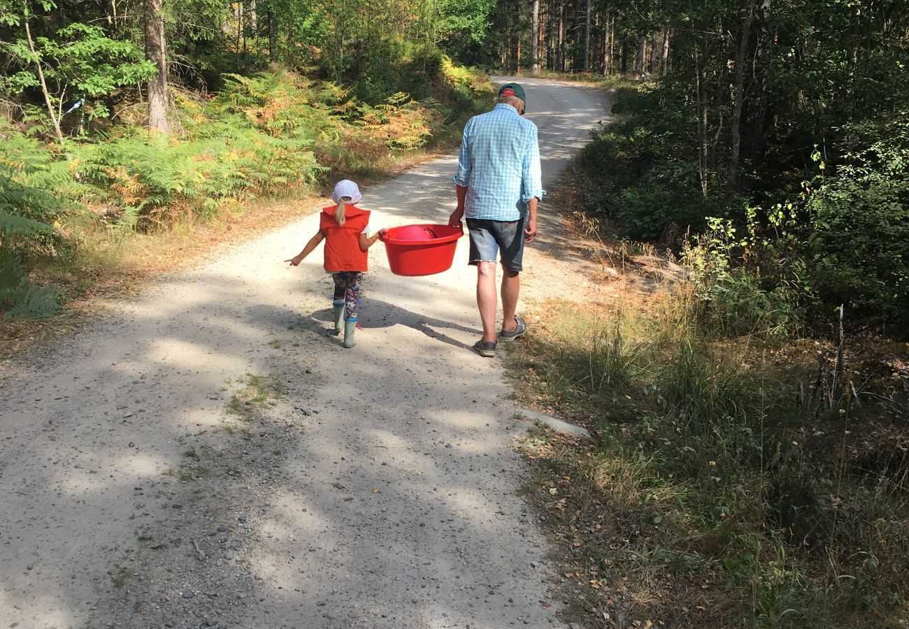 House in Tingsryd - Scenic cottage in the Småland forest with proximity to a lake