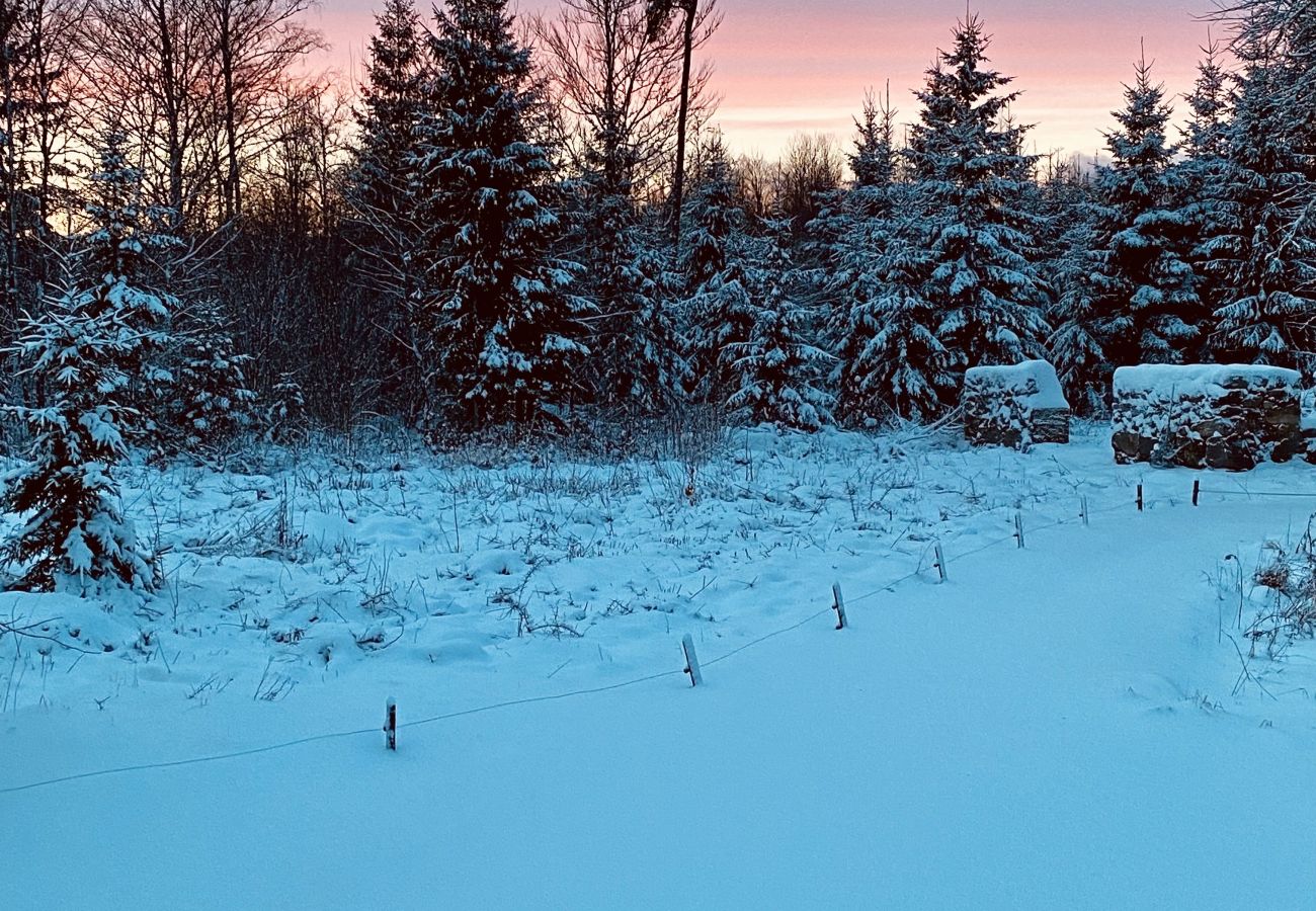 House in Tingsryd - Scenic cottage in the Småland forest with proximity to a lake
