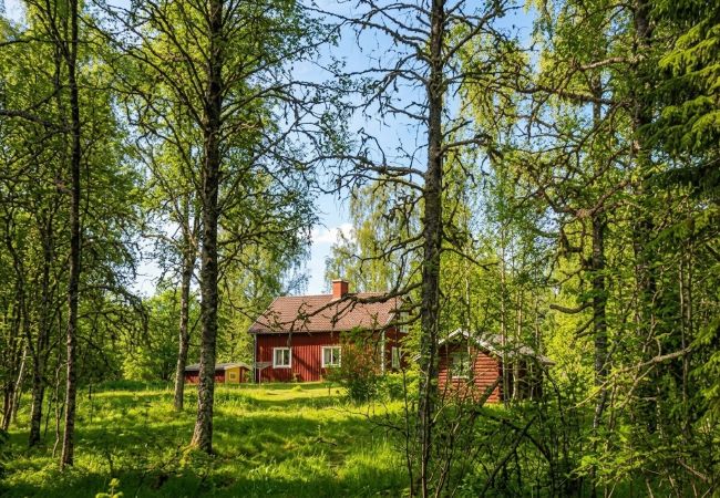 House in Lesjöfors - Holiday in the forest by a small lake in Värmland