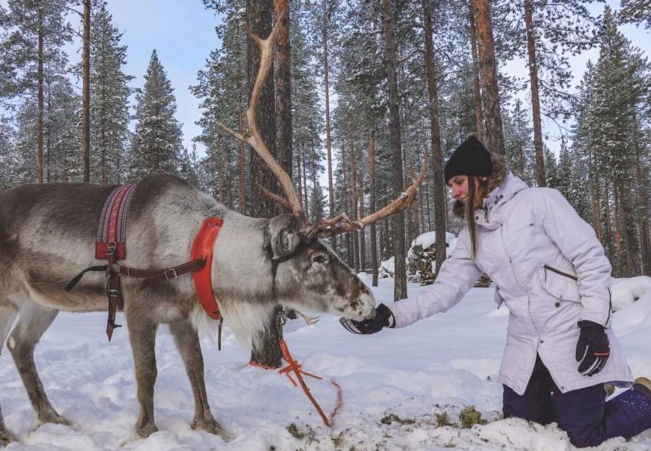 House in Pajala - Exclusive accommodation in the land of the Northern Lights