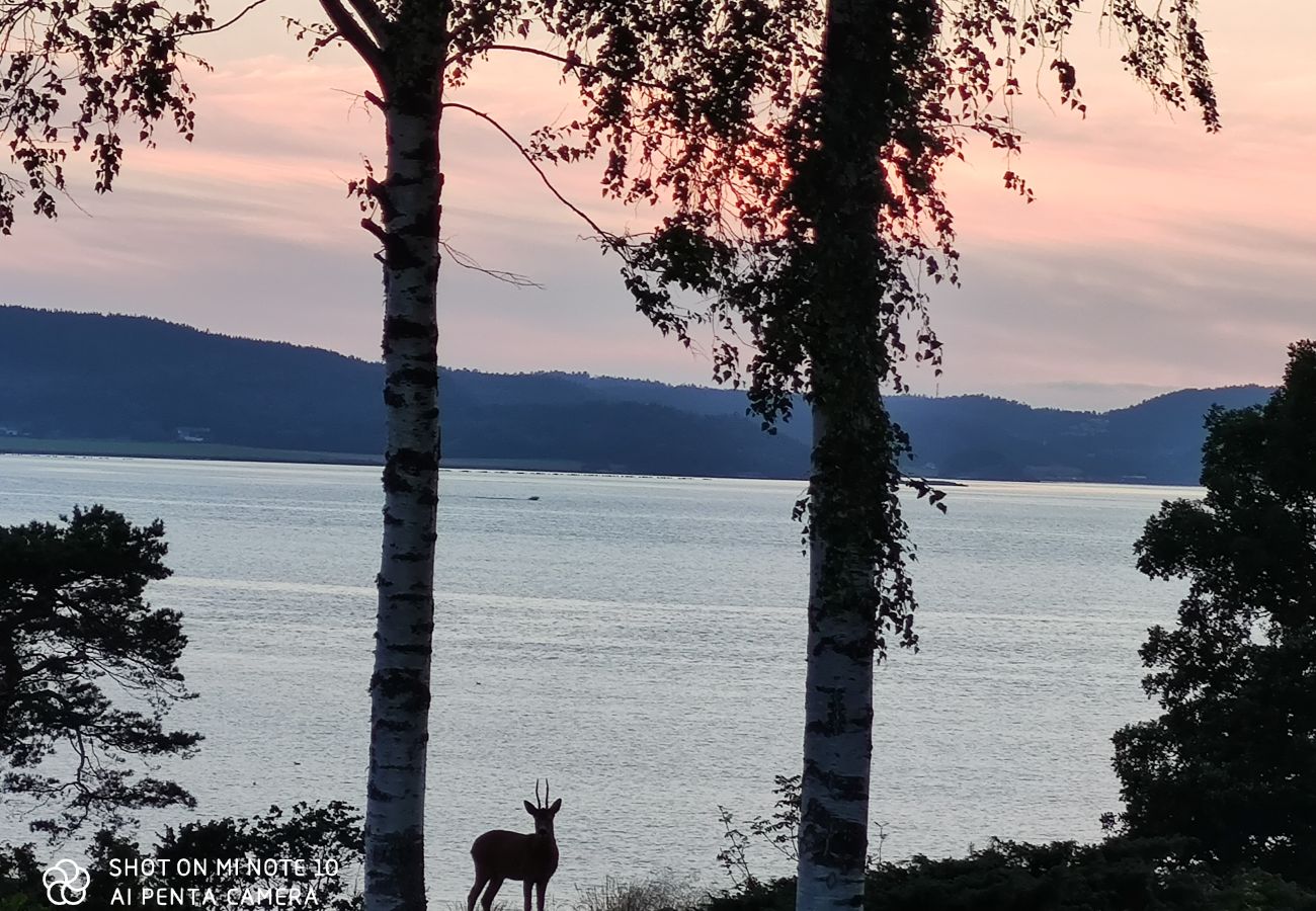 House in Uddevalla - West Coast holiday on the fjord with sea view