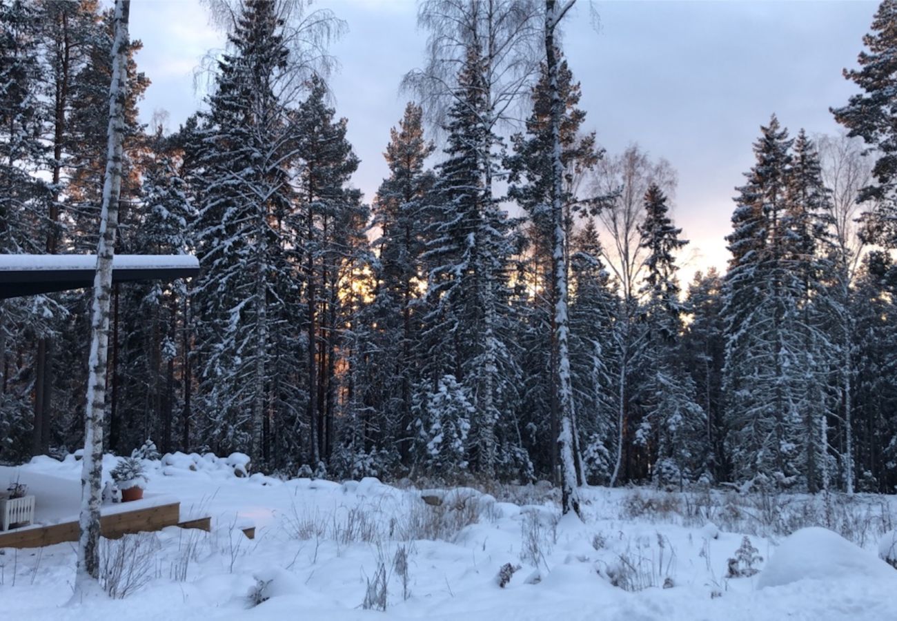 House in Arvika - Holiday with lake view and spa in Arvika