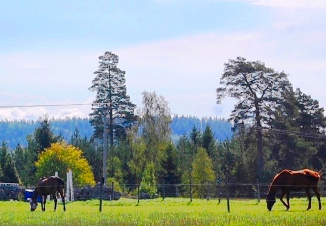 House in Ydre - Holiday idyll amidst horse paddocks, forest, meadows and lake with your own boat