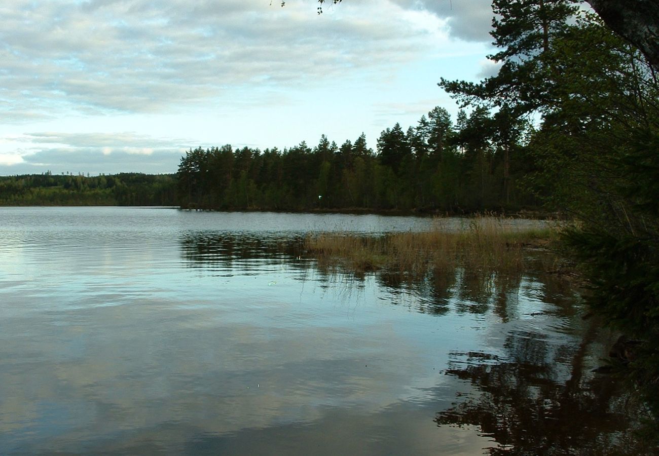 House in Gunnarskog - In the heart of Värmland, nestled between lakes and forests