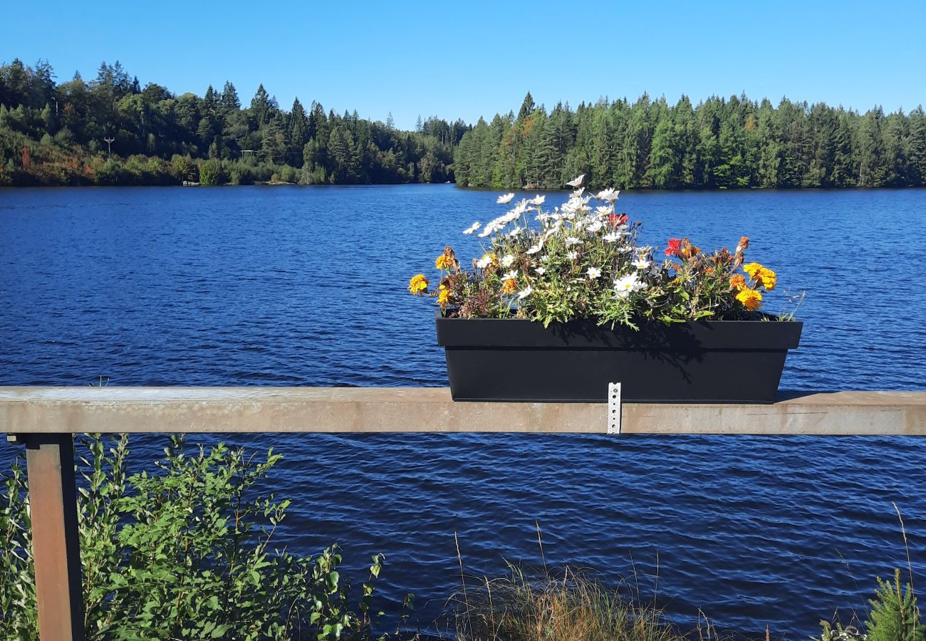 House in Eringsboda - Holiday home with guest cabin just 40 meters from the water
