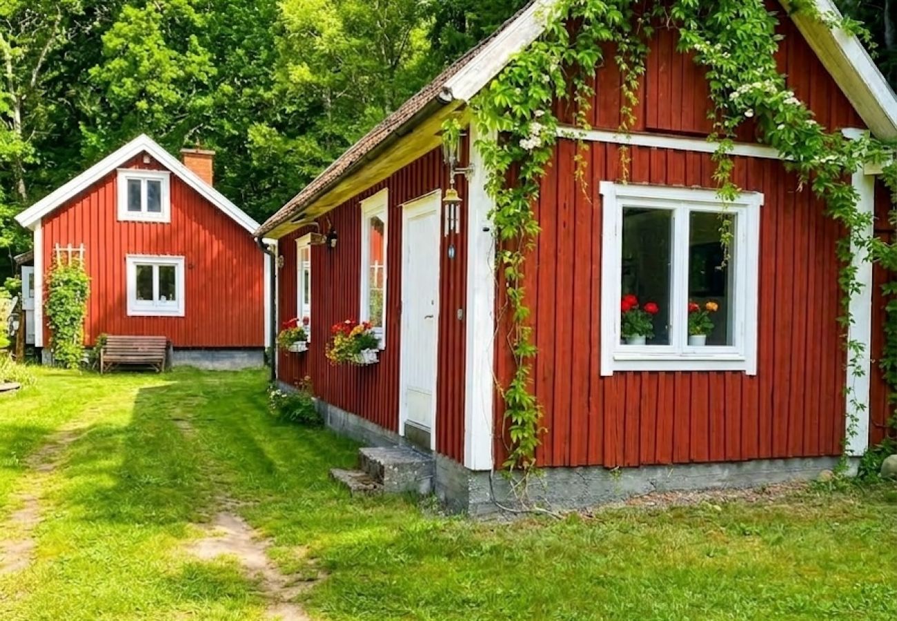 House in Eringsboda - Holiday home with guest cabin just 40 meters from the water