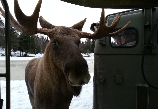 Stuga i Hultsfred - Semester vid sjön i Småland Stuga i Hultsfred - Semester vid sjön i Småland