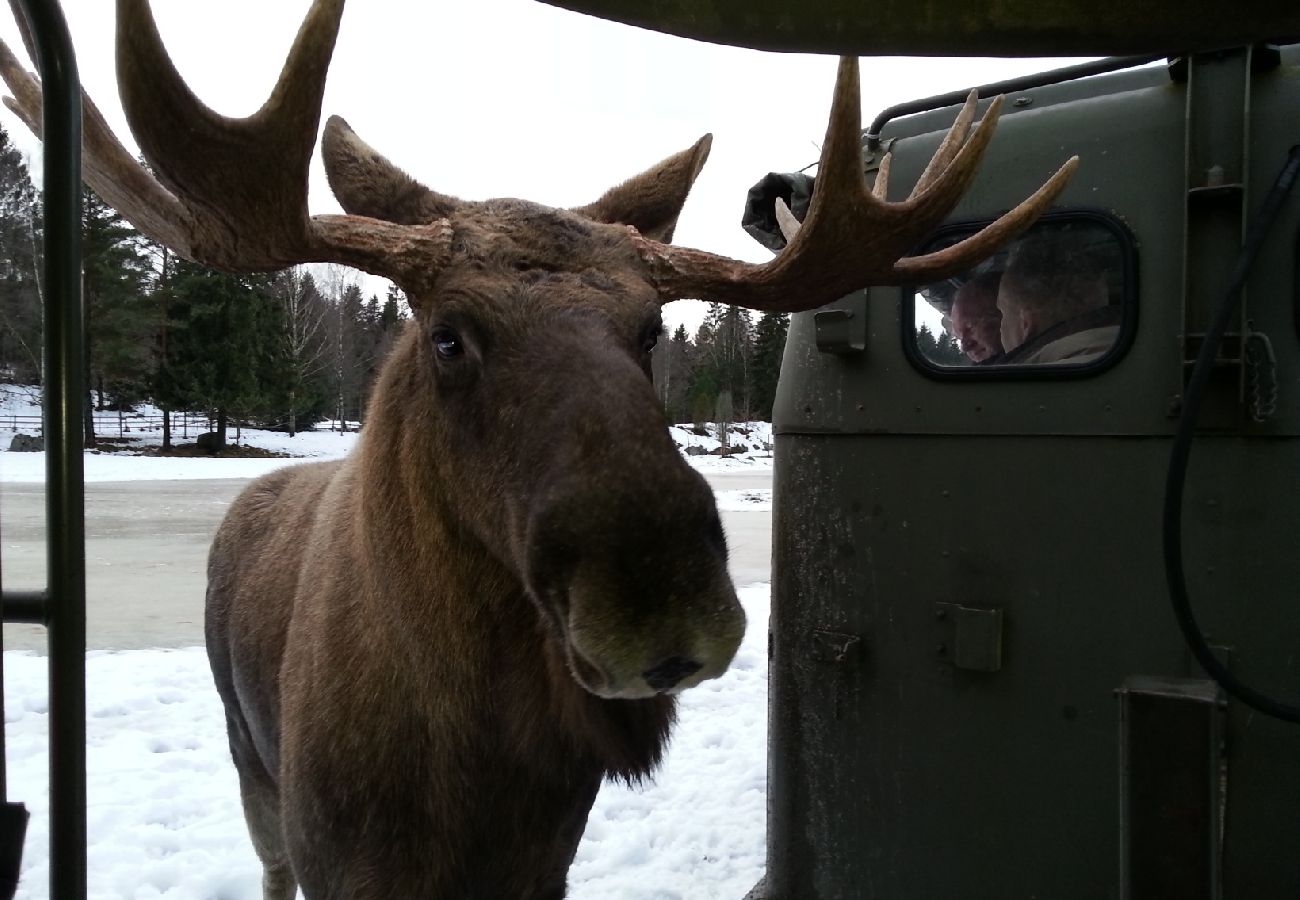 Stuga i Hultsfred - Semester vid sjön i Småland