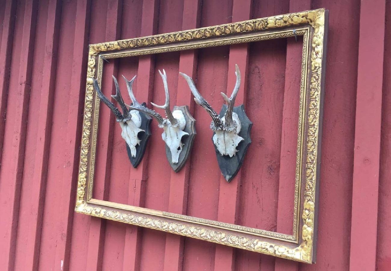 Stuga i Lammhult - stuga med internet och sauna och båt vid sjön Stråken i Småland