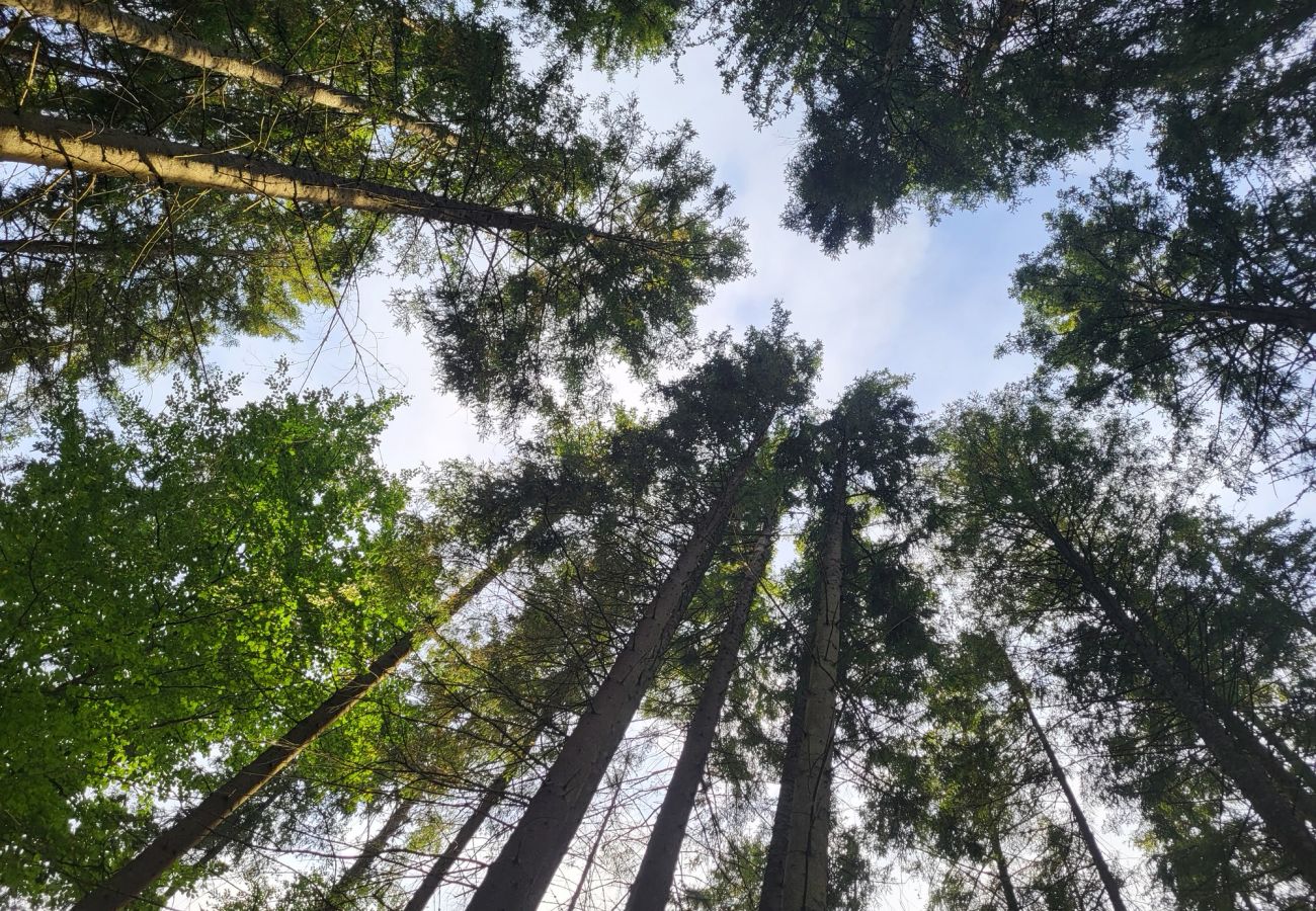 Stuga i Ryd - Stort, rymligt fritidshus i avskilt läge med vinterträdgård - badtunna - pool