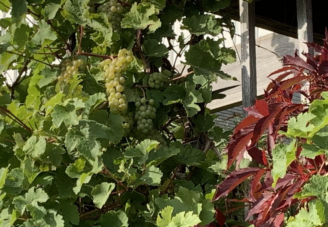 Stuga i Mölnbo - Mysigt fritidshus med sjöutsikt på hästgård nära Stockholm