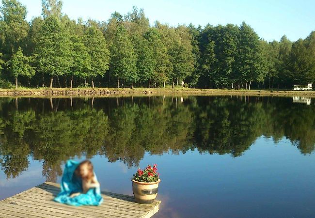 Stuga i Höör - Fritidshus i avskilt läge mitt i skogen