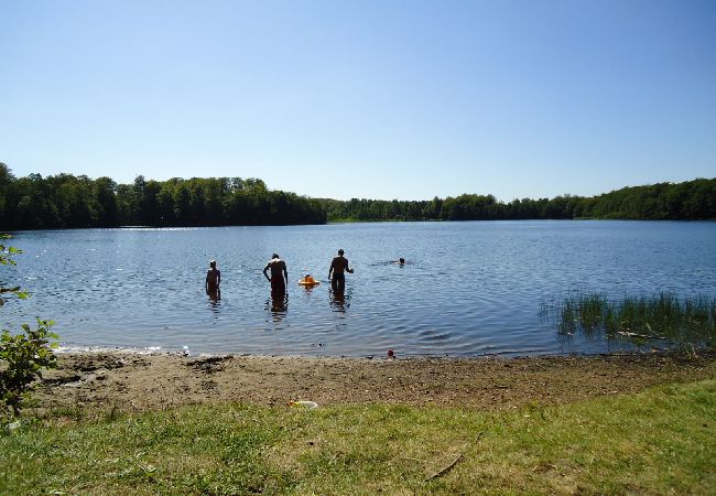 Stuga i Höör - Fritidshus i avskilt läge mitt i skogen Stuga i Höör - Fritidshus i avskilt läge mitt i skogen