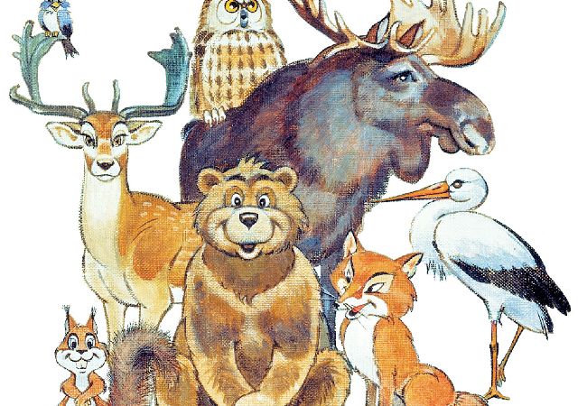 Stuga i Höör - Fritidshus i avskilt läge mitt i skogen Stuga i Höör - Fritidshus i avskilt läge mitt i skogen