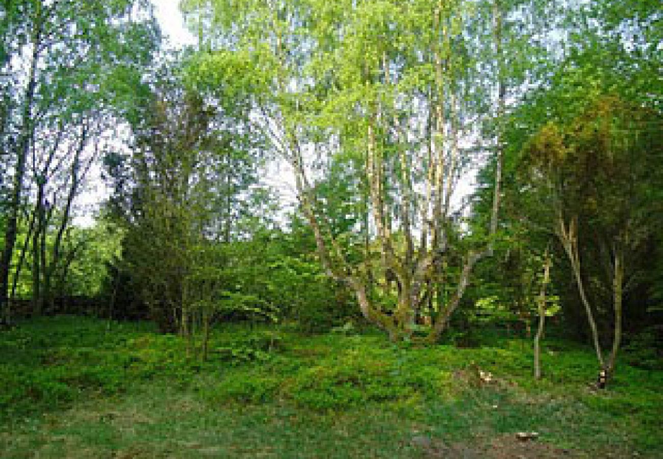 Stuga i Höör - Fritidshus i avskilt läge mitt i skogen