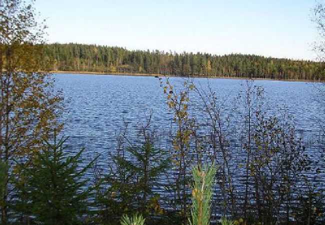 Stuga i Ulricehamn - Mysigt stuga vid sjön mellan Ulricehamn och Jönköping Stuga i Ulricehamn - Mysigt stuga vid sjön mellan Ulricehamn och Jönköping