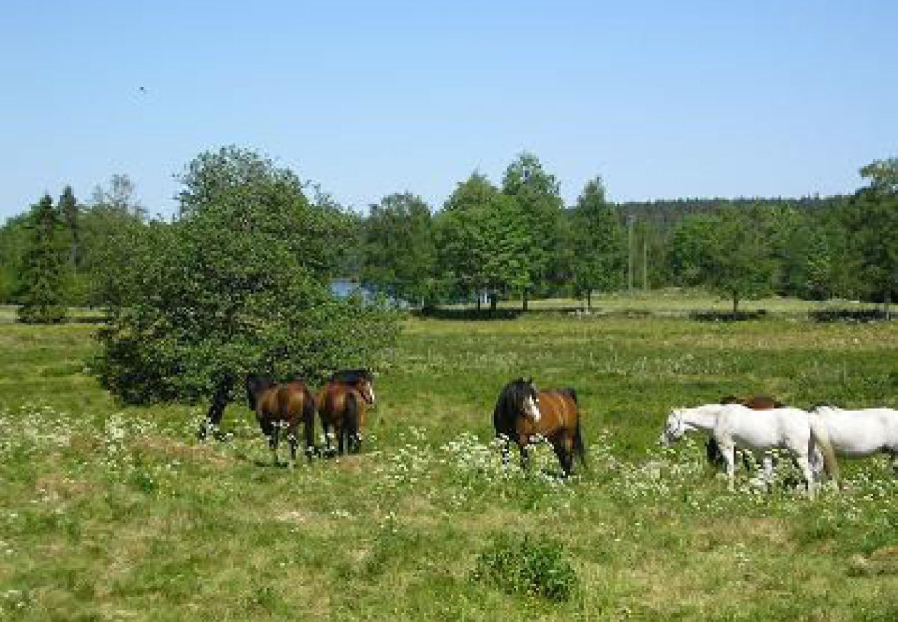 Stuga i Ulricehamn - Mysigt stuga vid sjön mellan Ulricehamn och Jönköping