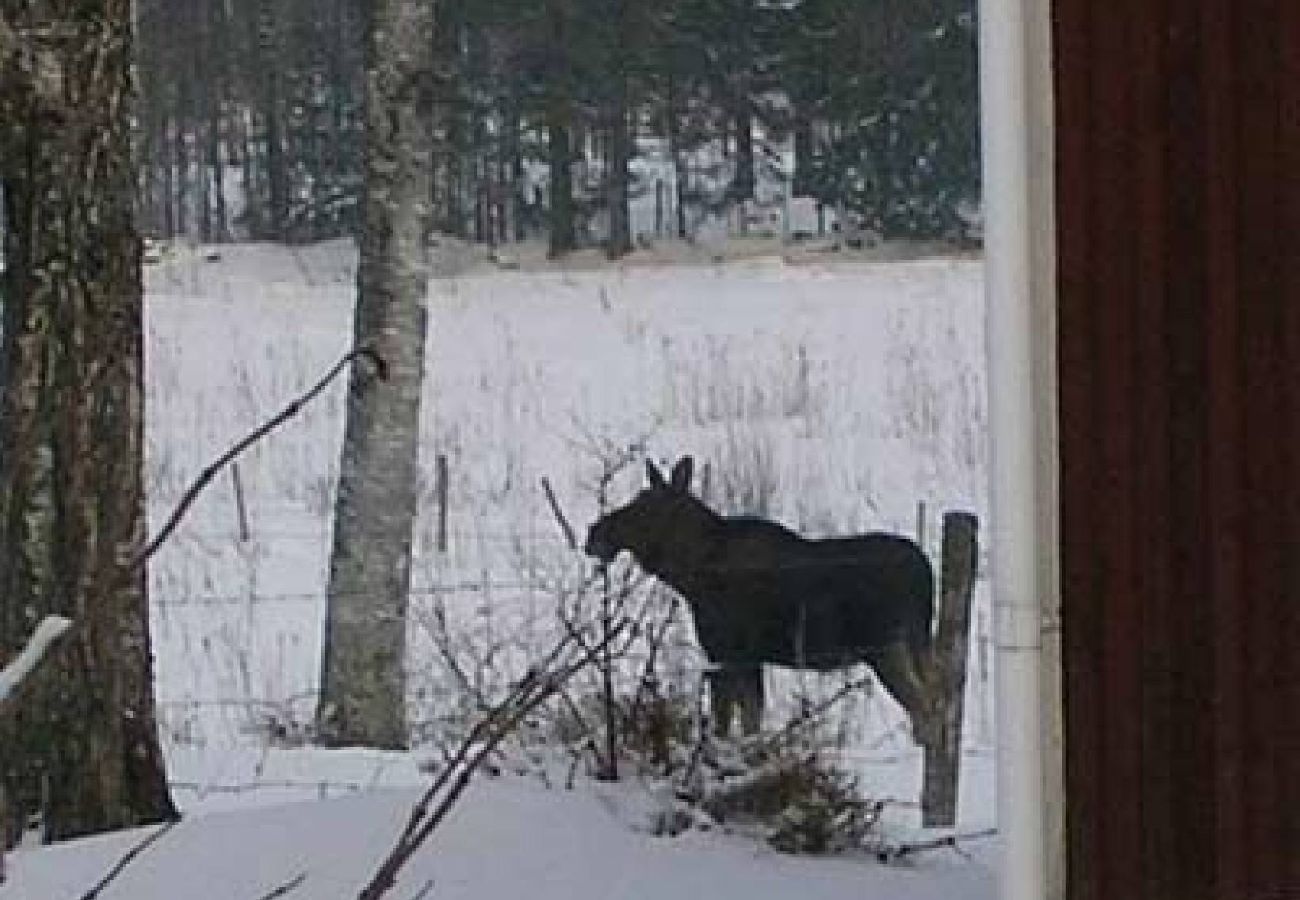 Stuga i Ulricehamn - Mysigt stuga vid sjön mellan Ulricehamn och Jönköping