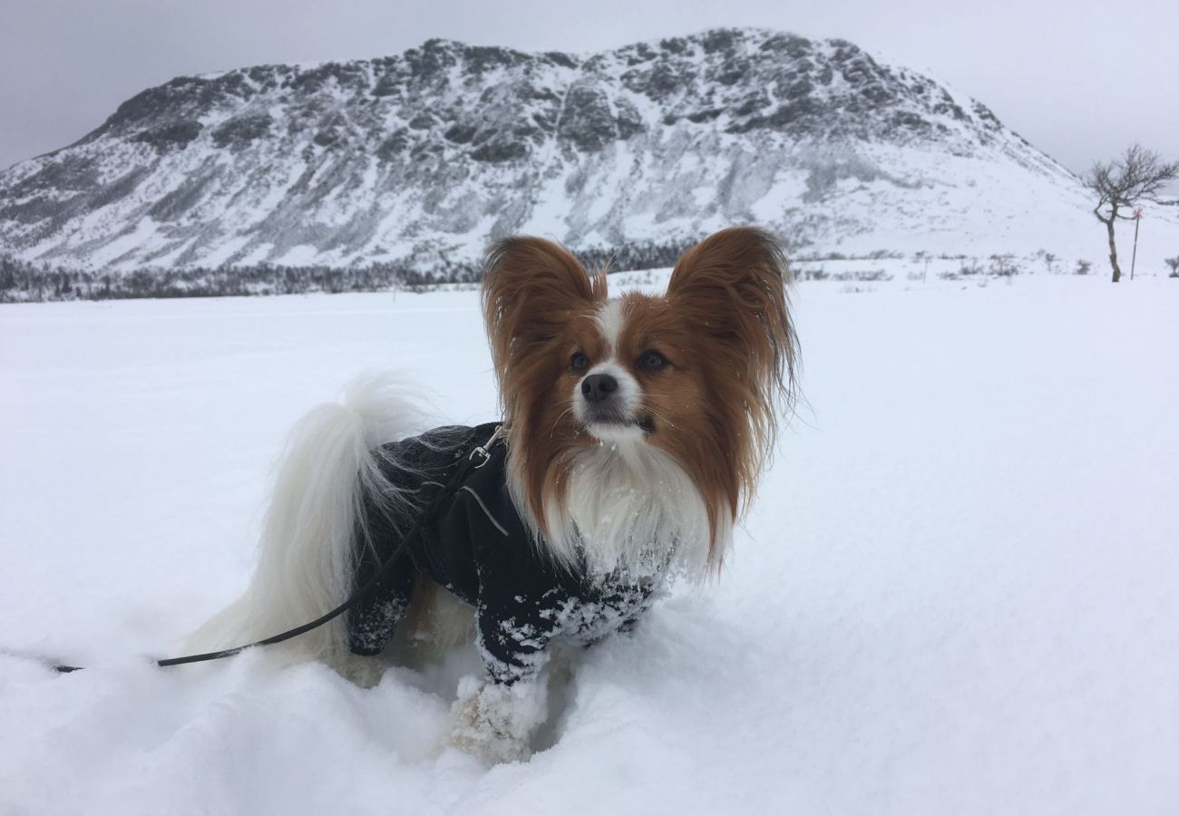 Stuga i Lofsdalen - Charmigt fritidshus i Lofsdalen vid Lofssjön