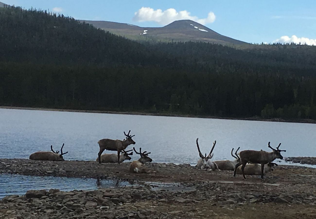 Stuga i Lofsdalen - Charmigt fritidshus i Lofsdalen vid Lofssjön