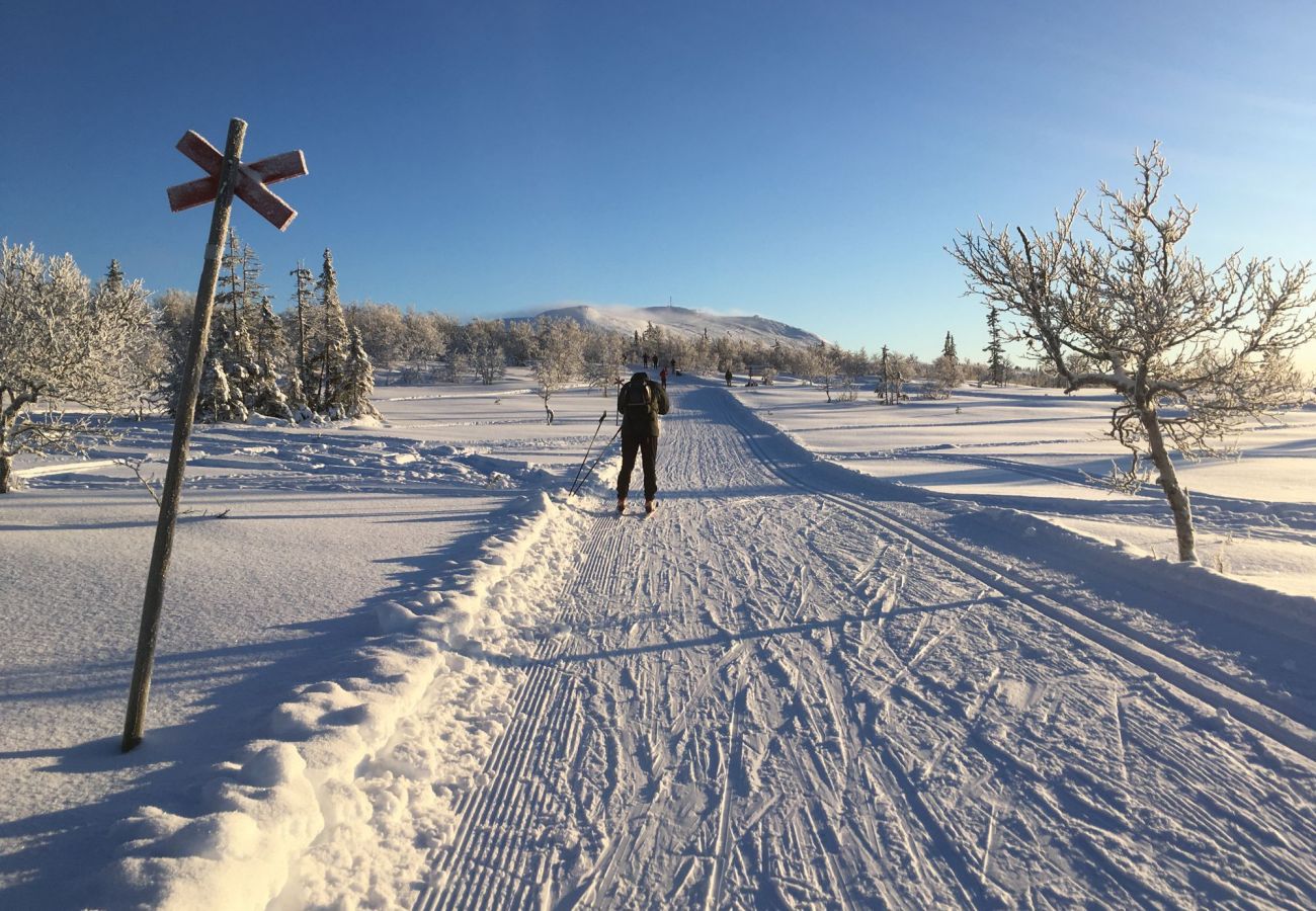 Stuga i Lofsdalen - Charmigt fritidshus i Lofsdalen vid Lofssjön