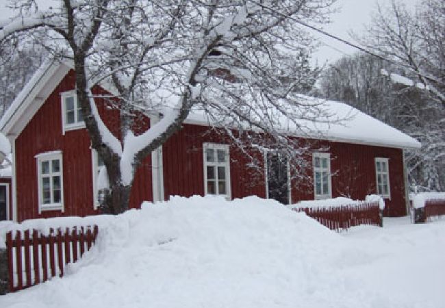 Stuga i Tranemo - Stuga vid sjön och 15 minuter från Isabergs skidområde