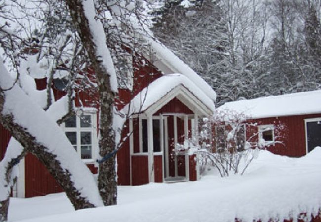 Stuga i Tranemo - Stuga vid sjön och 15 minuter från Isabergs skidområde