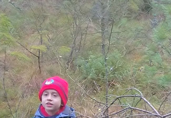 Stuga i Tranemo - Stuga vid sjön och 15 minuter från Isabergs skidområde Stuga i Tranemo - Stuga vid sjön och 15 minuter från Isabergs skidområde