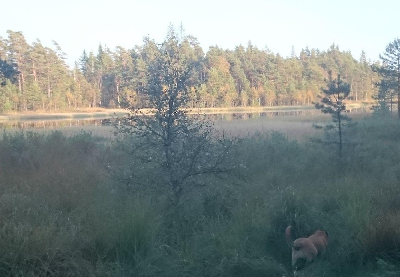 Stuga i Tranemo - Stuga vid sjön och 15 minuter från Isabergs skidområde