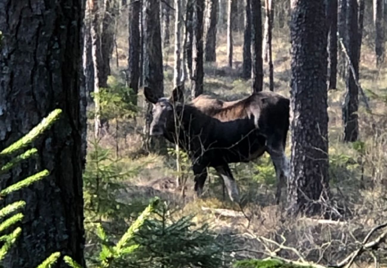 Stuga i Tranemo - Stuga vid sjön och 15 minuter från Isabergs skidområde