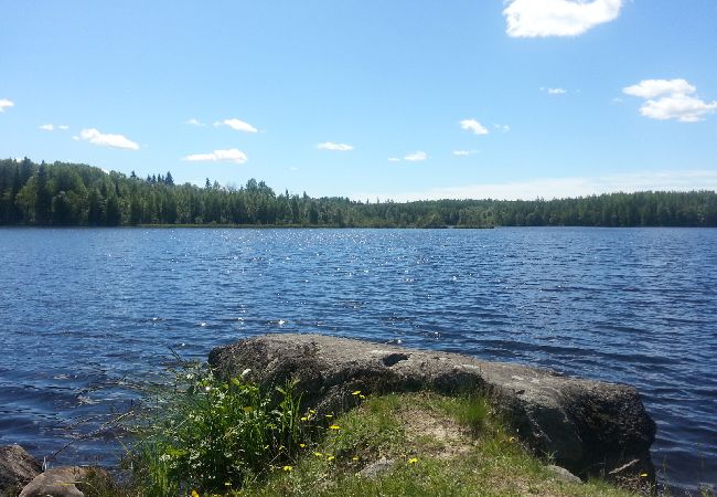 Stuga i Skinnskatteberg - Stuga precis vid sjön i Bergslagen med bastu och båt Stuga i Skinnskatteberg - Stuga precis vid sjön i Bergslagen med bastu och båt
