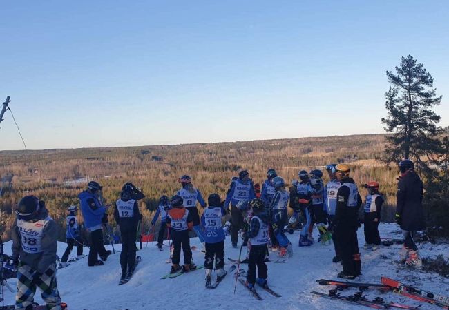 Stuga i Skinnskatteberg - Stuga precis vid sjön i Bergslagen med bastu och båt Stuga i Skinnskatteberg - Stuga precis vid sjön i Bergslagen med bastu och båt