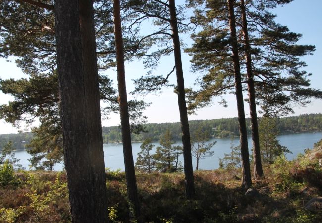 Stuga i Edsbro - Semester i Uppland mellan badsjöar och Östersjökusten Stuga i Edsbro - Semester i Uppland mellan badsjöar och Östersjökusten